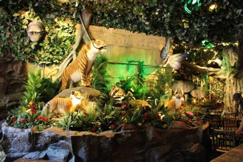 Rainforest Cafe In The Falls Now Open The Niagarahub