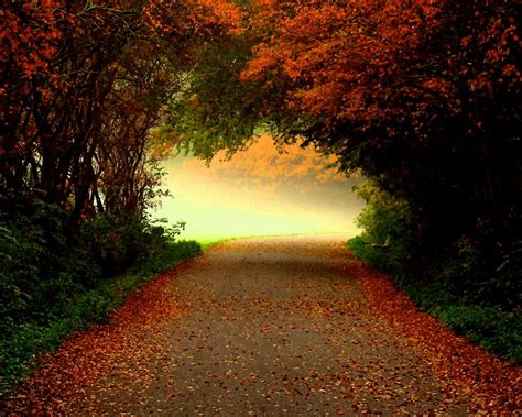 autumn screensavers free download