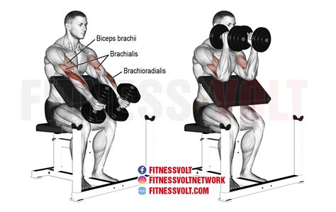 Cable Hammer Curl Curl Exercise How To Variations And Video Guide