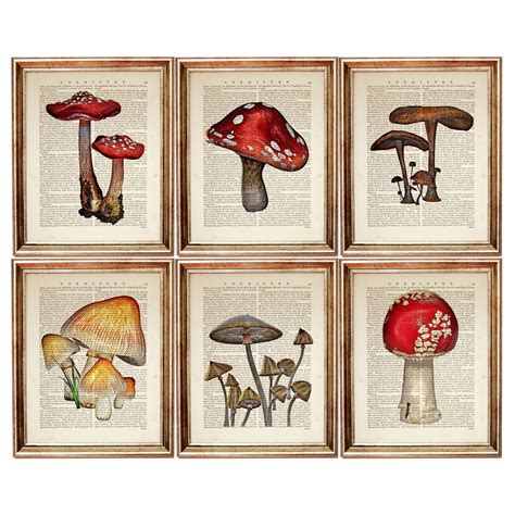 Set Of 6 Prints Mushroom Wall Art Mushroom Dictionary Art Etsy