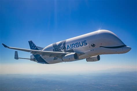 Airbus Giant Whale Shaped Belugaxl Cargo Plane Goes To Work