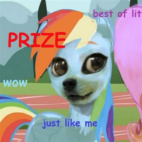 Rainbow Doge Youtube