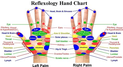 Santa Barbara Massage And Bodywork Self Reflexology For Your Hands