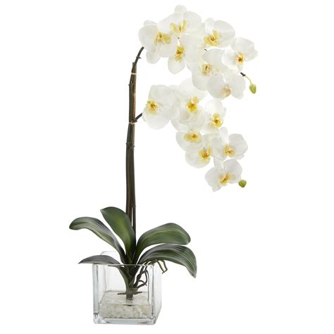 21” Phalaenopsis Orchid Artificial Arrangement In Glass Vase Nearly Natural