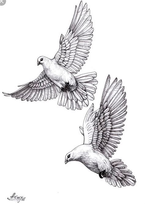 Pin By Diane On Tattoosss Dove Tattoos Dove Tattoo Design Dove Drawing