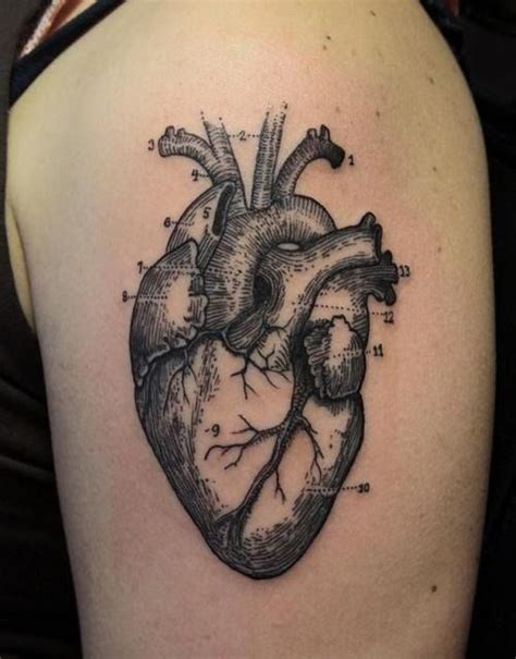 Cool Heart Tattoo Designs 8 Anatomical Tattoos Real Heart Tattoos Realistic Heart Tattoo