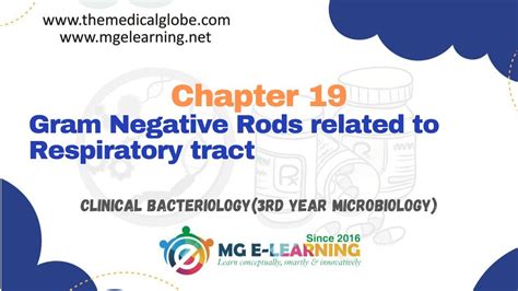 Gram Negative Rods Related To Respiratory Tract Chapter 19 Clinical
