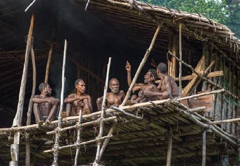 10 Fakta Suku Korowai Kanibal Pemakan Manusia Di Indonesia Dan Papua