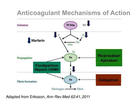 Noac Mechanism Of Action
