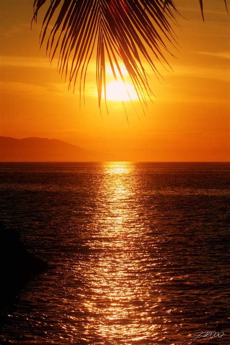 Sunset In The Frawn By Jason Blalock Puesta De Sol Playa Atardecer