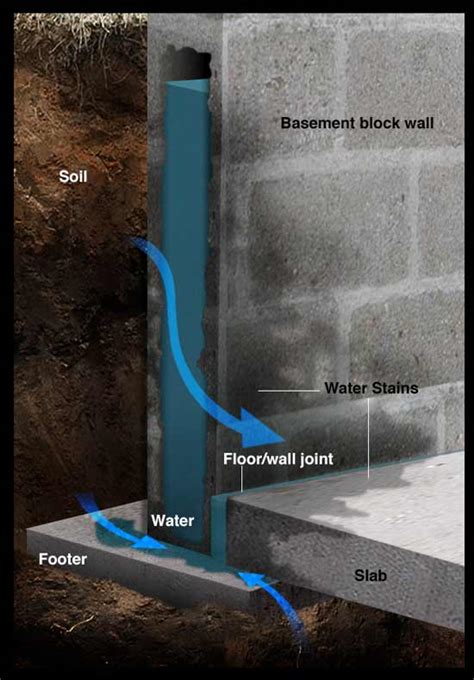 Since basements floors are below ground and usually rest atop a concrete slab, moisture is a primary concern. Make Your Wet Basement Dry - DIY Repair Guide - RadonSeal