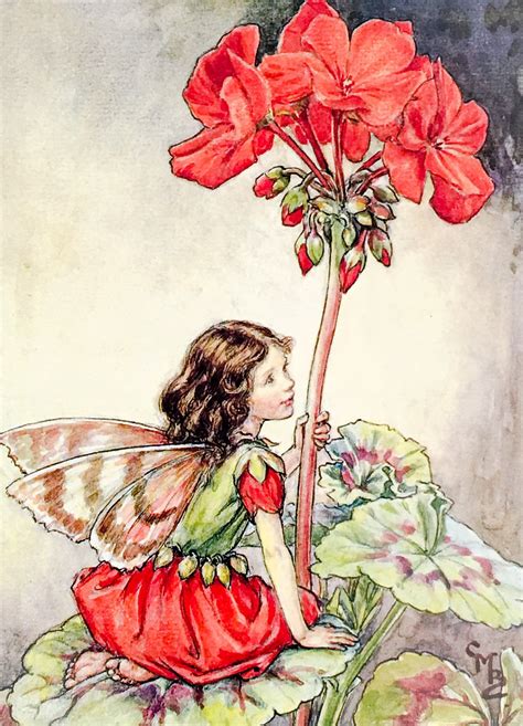 The Flower Fairies The Geranium Fairy Book Illustration Etsy