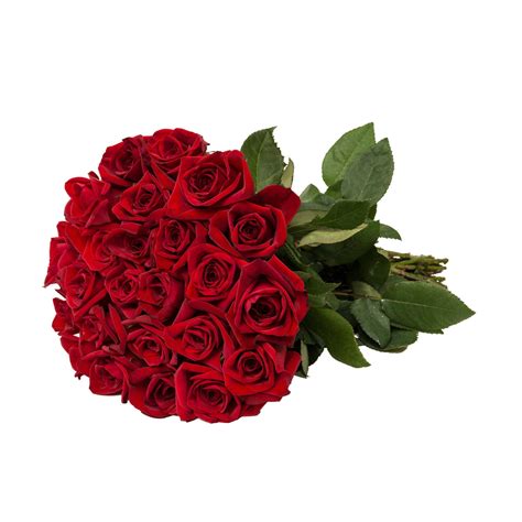 24 Farm Fresh Red Roses T Red Roses Rose T Wholesale Flowers