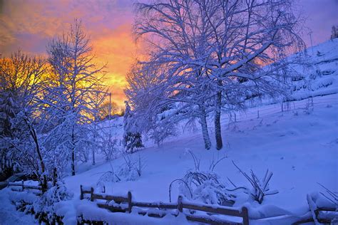 Winter Nature Trees Sunset Sky Snow Fence Hd Wallpaper Pxfuel