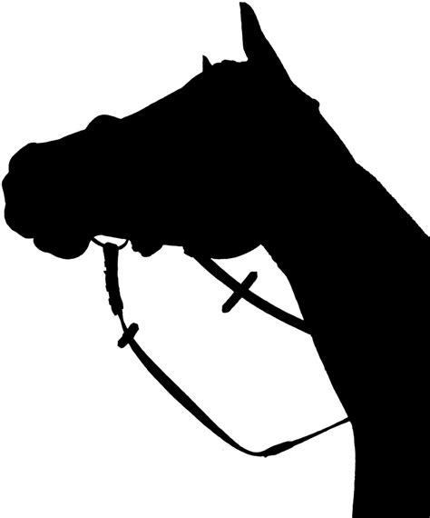 Free Horse Head Silhouette Png Download Free Horse Head Silhouette Png