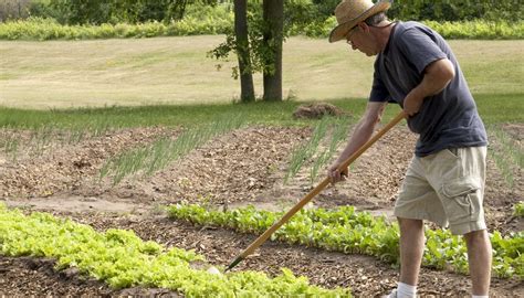 How To Use A Hoe Garden Guides