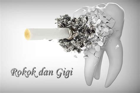 Merokok Dan Pengaruhnya Pada Gigi Dan Mulut Lentera Sehat