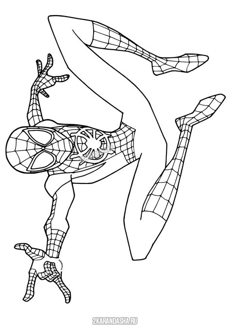 Образец человек паук для раскраски