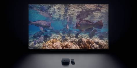 Apple Tv Now Features 10 Beautiful Underwater Video Screensavers 9to5mac