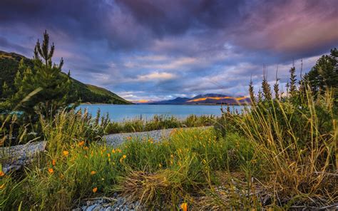 Lake Tekapo New Zealand Pebbles Clouds Mountains Grass Wallpaper