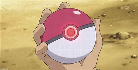 Pokeball Pokémon Amino