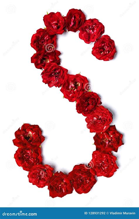 Letter S From Flowers Of Red Rose Stock Photo Image Of Design