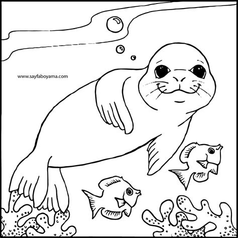 Free Animals Monk Seal Coloring Pages For Preschool Preschool Crafts