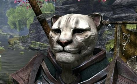 Elder Scrolls Online House Cat Adventures Fextralife