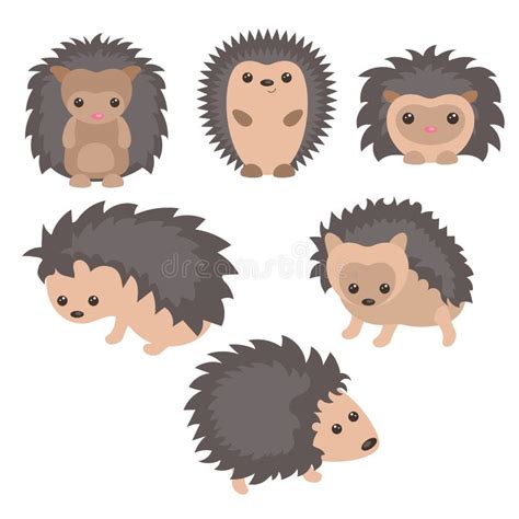 Set Of Cute Hedgehogs Stock Vector Illustration Of Mammal 97462016
