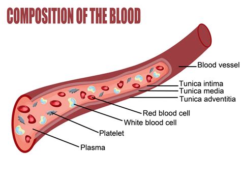 A Brief Review On The Study Of Blood And Its Different Components