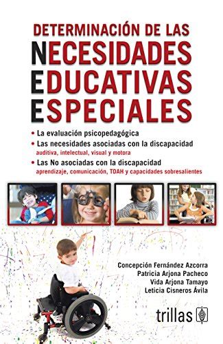 Determinacion De Las Necesidades Educativas Especiales Libro Concepcion