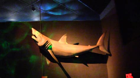 Sharks At Seaworlds Shark Encounter In Orlando Florida Youtube