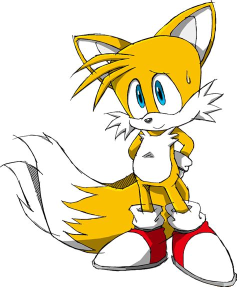 Sonic The Hedgehog Sonic Unleashed Fox Boy Fairy Tail Girls Sonic