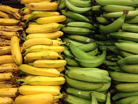 Fruits Of Ecuador 5 Types Of Banana Plantains Fried Fruit Plantains