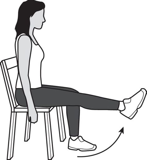Seated Leg Extension Exercise Br