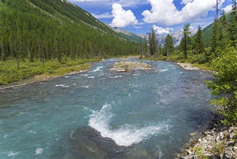 Altai Mountains The Shawla River Siberia Russia Stock Image Image