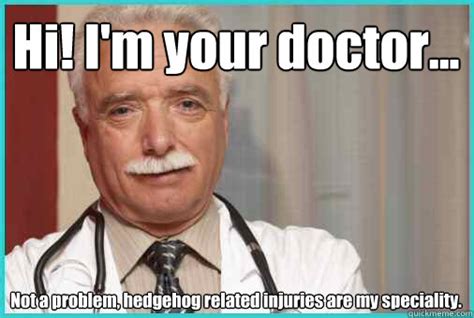 Hi Im Your Doctor Not A Problem Hedgehog Related Injuries Are My
