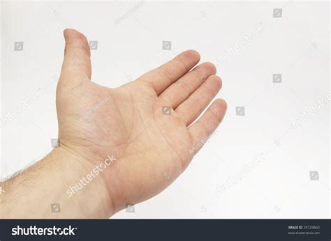 Open Palm Of The Left Hand Stock Photo 29729860 Shutterstock