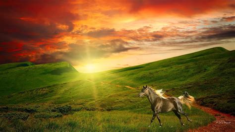 Sunset In The Hills Hd Desktop Wallpaper Widescreen High Definition