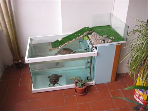 Tortus Turtle Habitat Turtle Tank Pet Turtle