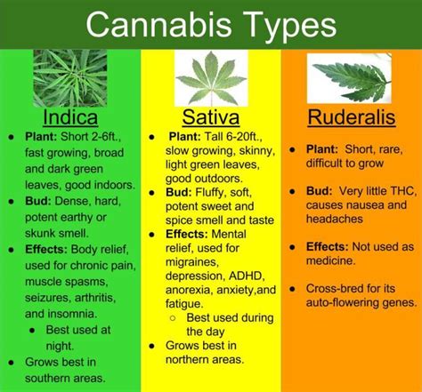 Varieties Of Cannabis Thank You For Subscribing