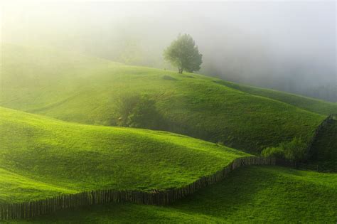 Magic Morning Vamasuceavaromania Landscape Hills Field Wallpaper