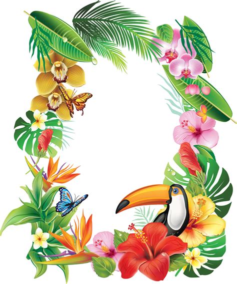 Download Frame Tropical Flower Tropical Flower Frame Png Clipart