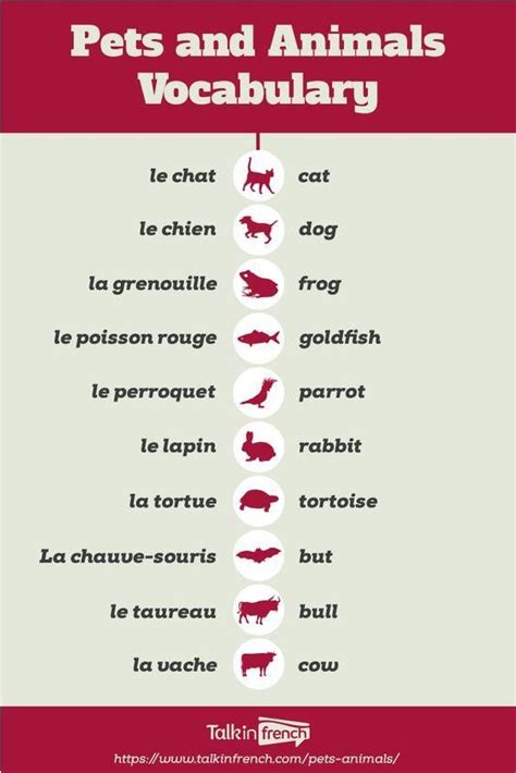 Pin By Sıraç On Learning In 2020 Basic French Words French