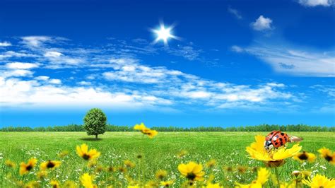 Backgrounds Spring Wallpapers ~ Top Best Hd Wallpapers For