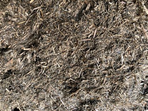 Best Management Practices For Bagged Chopped Silage Purdue