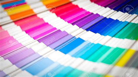 29969999 Colour Swatches Book Rainbow Pantone Sample Colors Catalogue