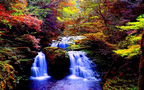 1937705 Free Screensaver Waterfall Image Forest Waterfall Download