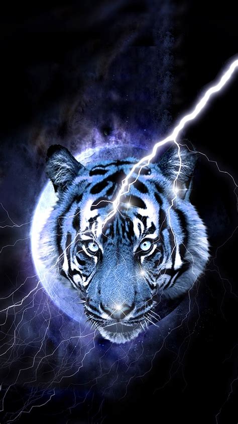 Pin By Christine Rivera Raulerson On Big Cats Art Pet Tiger Tiger