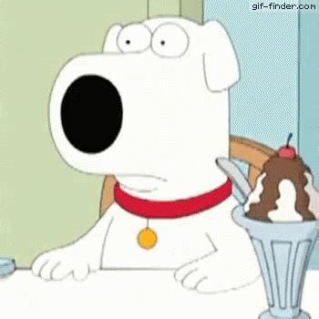 Brian Jaw Drop Drop Gif Jaw Drop Family Guy Brian Griffin Discover Share Gifs